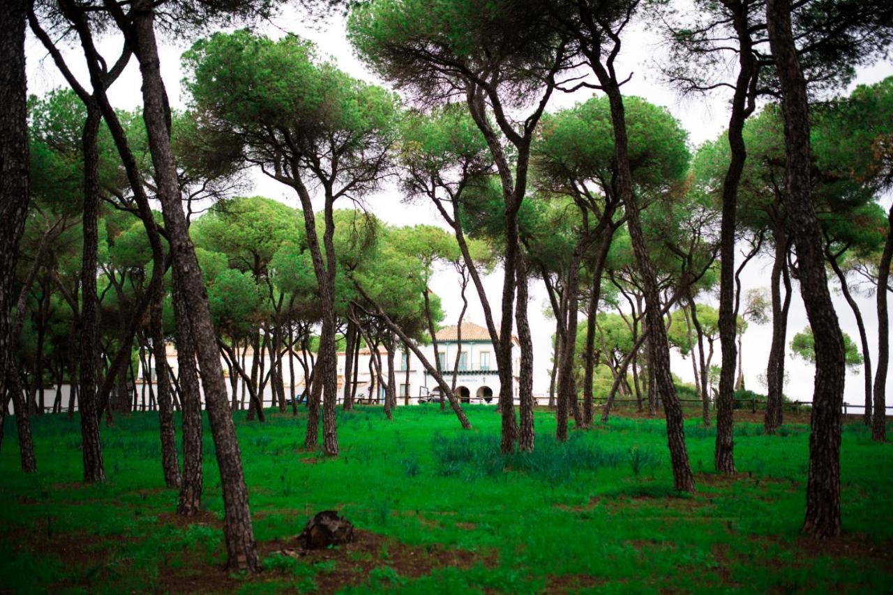 Hotel Oromana الكالا ذي غواذَيْرا المظهر الخارجي الصورة